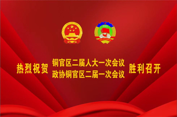 熱烈祝賀公司董事、副總經(jīng)理王從偉被選為 第二屆銅陵市銅官區(qū)政協(xié)常務(wù)委員